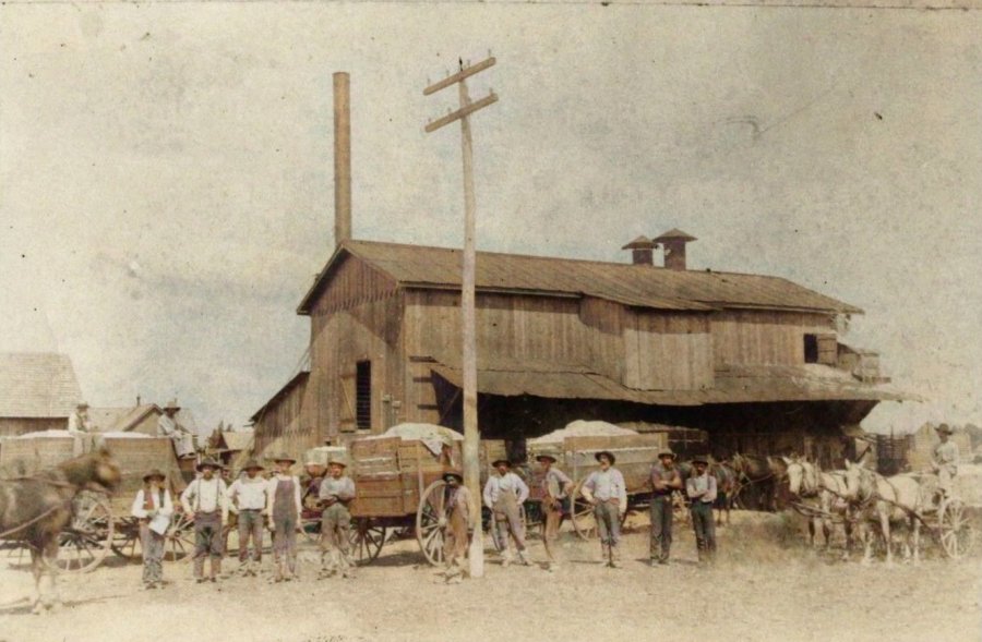 cotton gin